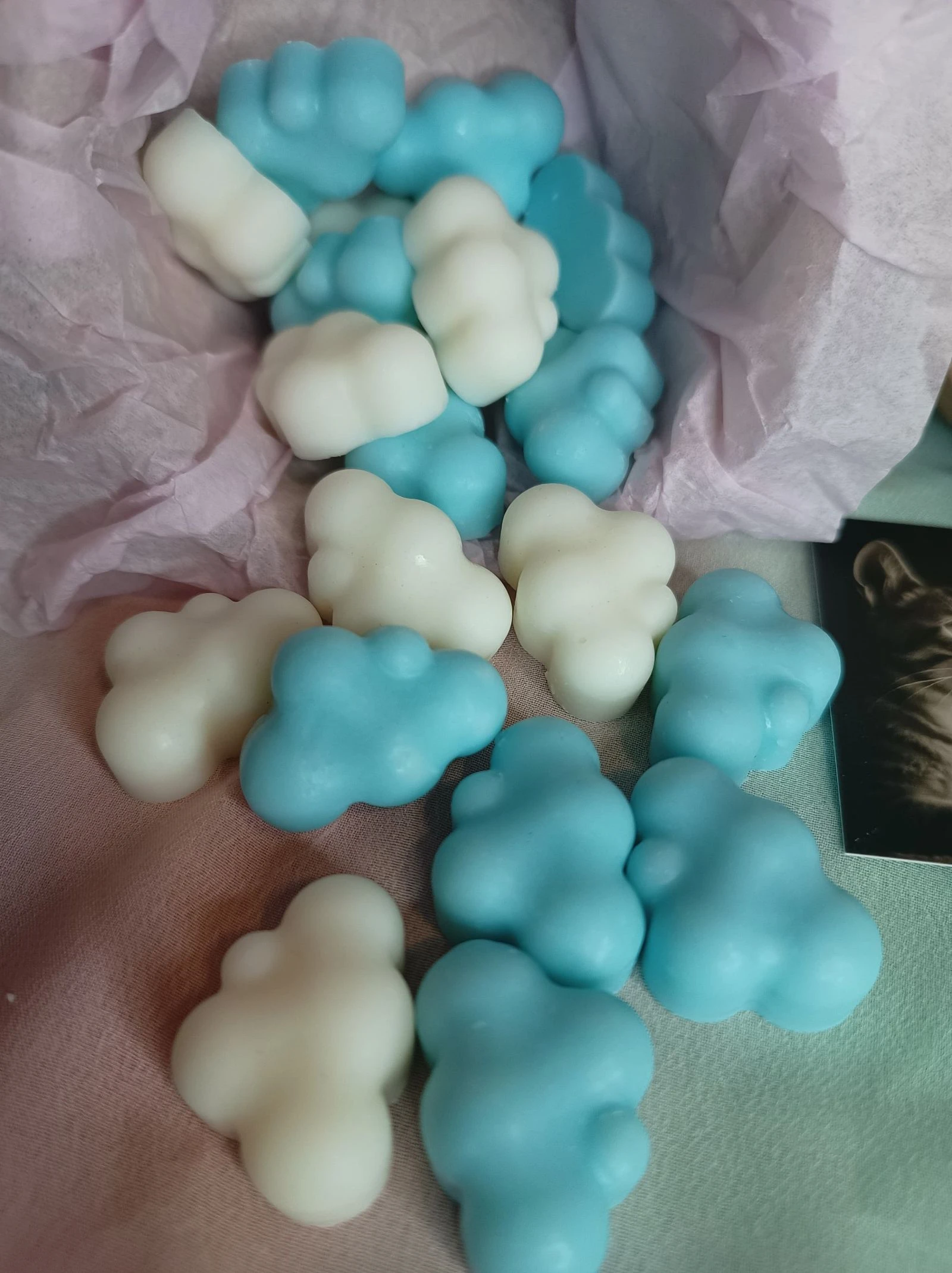 Waxmelts Coco – photo 3